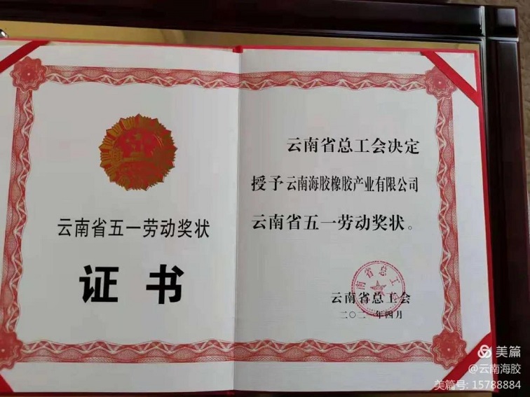 z6com·尊龙(中国)时凯集团